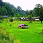 Dooars - West Bengal