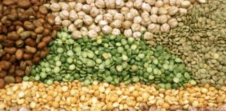 Pulses - Imported