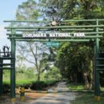 Gorumara National Park - West Bengal,India