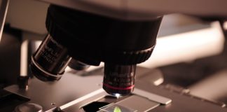 Microscope - Biotechnology