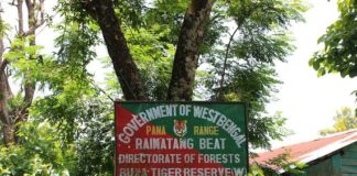Raimatang - A Nature's Wonderland in Dooars