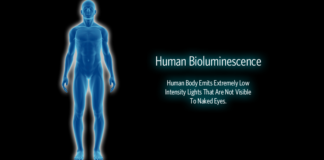 human bioluminicence