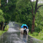 Monsoon - India