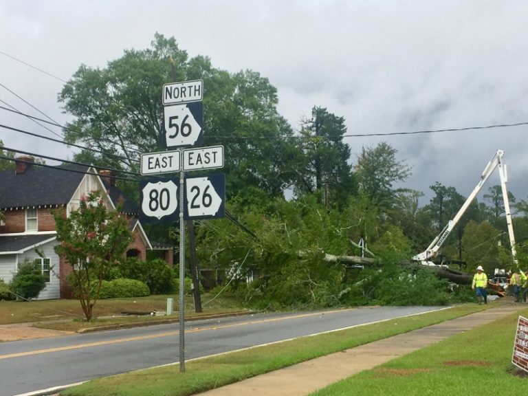 Georgia Power Hermine-2