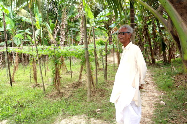 Kalyanbrata Sangha Agri Field- Brindabanpur,Uluberia