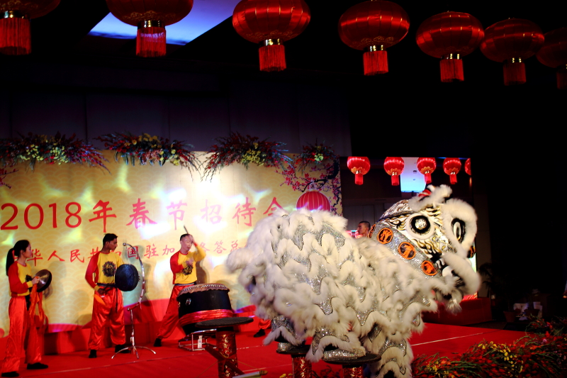 Chinese New Year 2018 - 11 Feb 2018 at Kolkata 11
