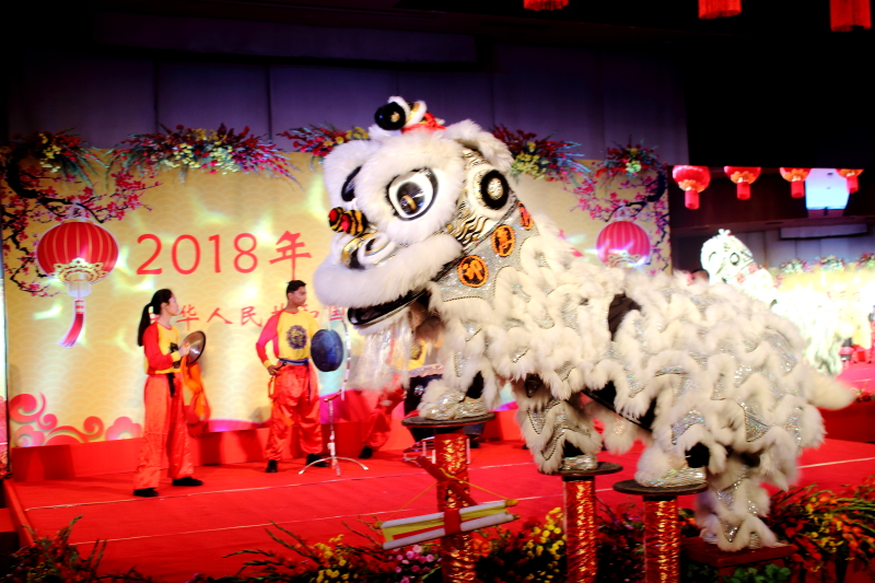Chinese New Year 2018 - 11 Feb 2018 at Kolkata 12
