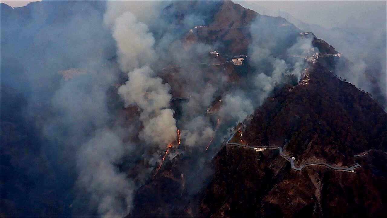 Forest Fire at Katra