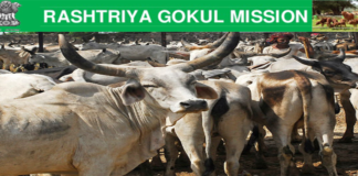 Rashtriya-Gokul-Mission