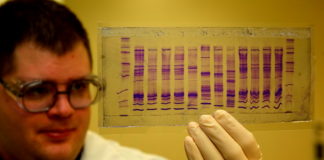 DNA profile - Source Wikimedia Commons