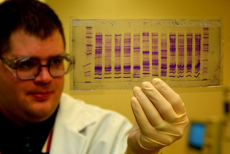 DNA profile - Source Wikimedia Commons