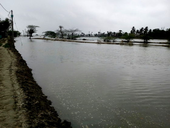 Flood at Moushuni 4