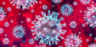 Kidney patients are more vulnerable to COVID-19infections