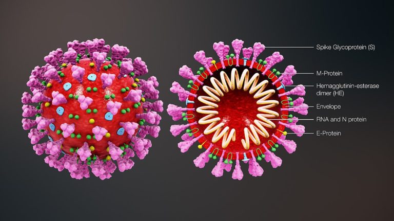 Union Health Ministry issues updated clinical management protocol for managing COVID-19 cases