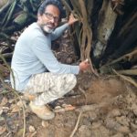 Saving Tree at Goa – Uday Krishna Peddireddi and Team Image 5