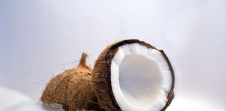 Expansion of Area under Coconut (AEP) Scheme of Coconut Development Board Coconut - Image Source Wikipedia
