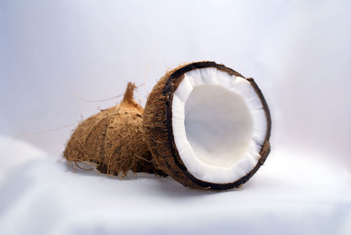 Coconut - Image Source Wikipedia