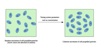 DST Scientists find clue to anomalous behaviour of self-propelled fluctuations DST Scientists find clue to anomalous behaviour of self-propelled fluctuations