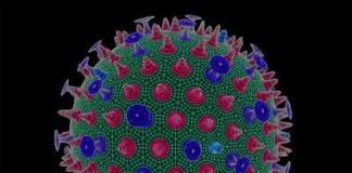 Status of Avian Influenza in the country Status of Avian Influenza in the country