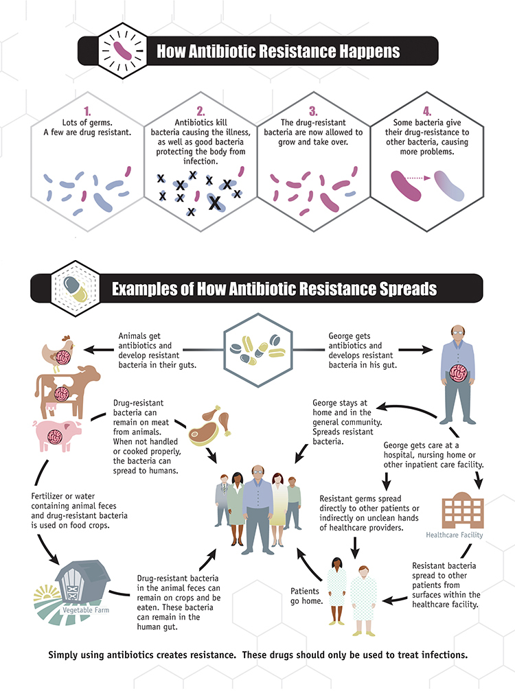 A CDC Infographic On How Antibiotic Resistance a Major Type Of 
