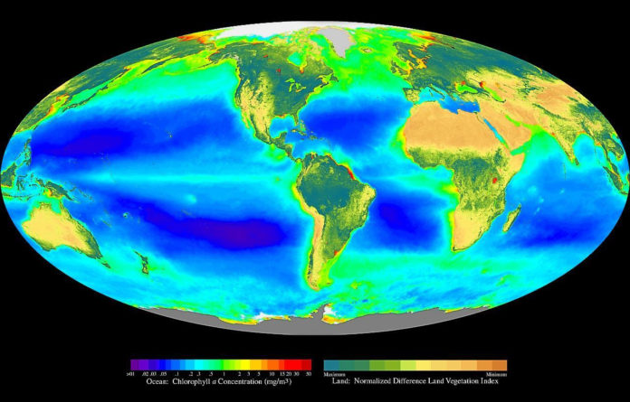 Composite image showing the global distribution of photosynthesis, including both oceanic phytoplankton and terrestrial vegetation. Dark red and blue-green indicate regions of high photosynthetic activity in the ocean and on land, respectively. By Wikipedia