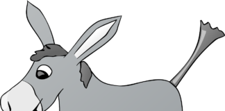 নিশীথেও ইহা প্রামাণ্য কী? Donkey
