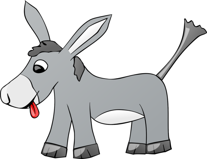 Donkey
