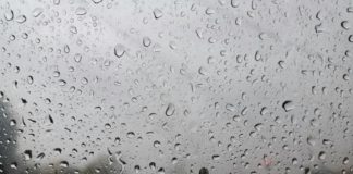 South West Monsoon likely to revive over South Peninsula from 8th July
