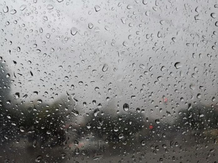South West Monsoon likely to revive over South Peninsula from 8th July