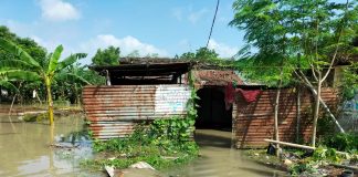মালদা জেলার বিস্তীর্ণ অঞ্চল বন্যা কবলিত মালদা জেলার বিস্তীর্ণ অঞ্চল বন্যা কবলিত