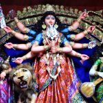 Mohammad Ali Park Durga Puja 2021 - Devi Durga 2