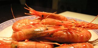 The United States Certifies Mexico’s Shrimp Imports Shrimp