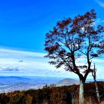 Shanendoah National Park – Photo By Angshuman Deb