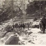 Advance of 76 J&K Mountain Battery 23 Field Regiment (141(1) Copyright remains with DPR MoD India