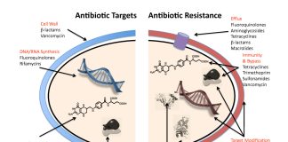 CSE outlines agenda to address antimicrobial resistance (AMR) crisis Antibiotic Resistance Mechanisms