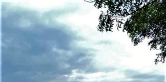 স্বপ্ন দেখাও কি দোষ Pondicherry By Nivedita Paul
