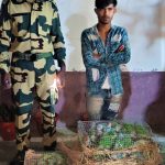 PARROTS captured at Indo-Bangla Border