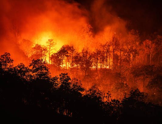 Forest Fires can be an important factor in reducing solar power production in India