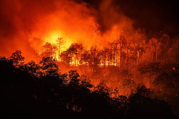 Forest Fires can be an important factor in reducing solar power production in India