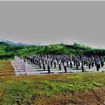 Yoga Day in Eastern Command at Nagaland