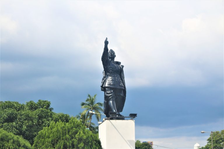 Netaji by Srinika Munshi