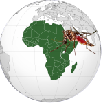 WHO identified the spread of Anopheles stephensi as a significant threat to malaria control and elimination – particularly in Africa