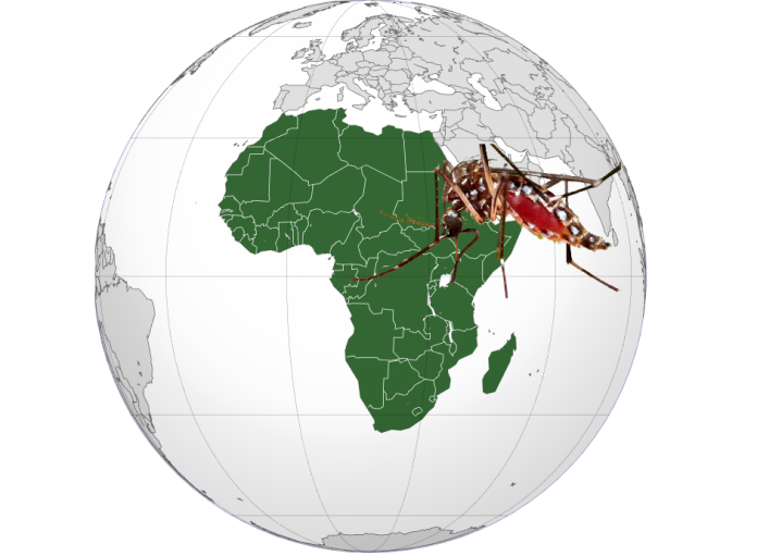 WHO identified the spread of Anopheles stephensi as a significant threat to malaria control and elimination – particularly in Africa