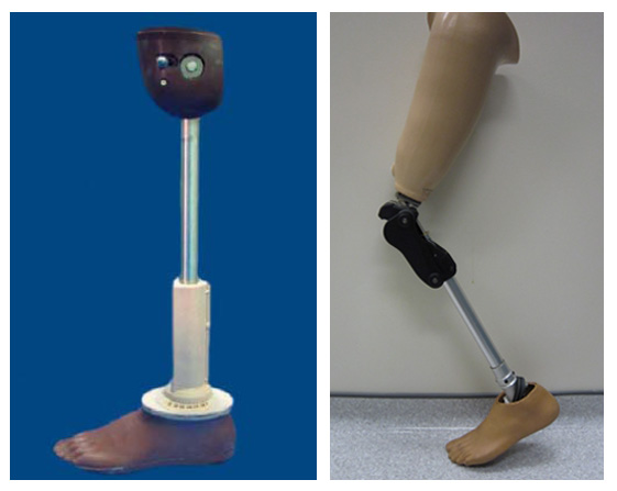 Prosthetic limbs, image from wikipedia