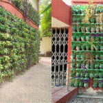 Creation of vertical gardens by the Income Tax Department by using waste plastic bottles
