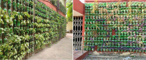 Creation of vertical gardens by the Income Tax Department by using waste plastic bottles