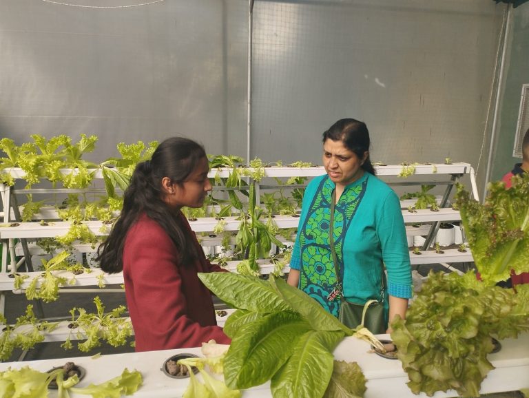 Orchids The International School organizes Budding Farmers Market