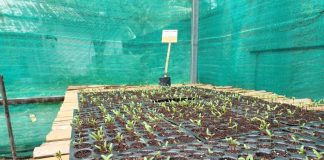 PM appreciates ‘Nutri Garden Project’ in Lakshadweep PM appreciates ‘Nutri Garden Project’ in Lakshadweep