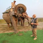 PM feeds sugar cane to Lakhimai, Pradyumna and Phoolmai elephants during his visit to Kaziranga National Park, in Assam on March 09, 2024.