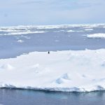 A new NCPOR study attempts to resolve the Mystery of extremely low sea ice cover in the Antarctic.